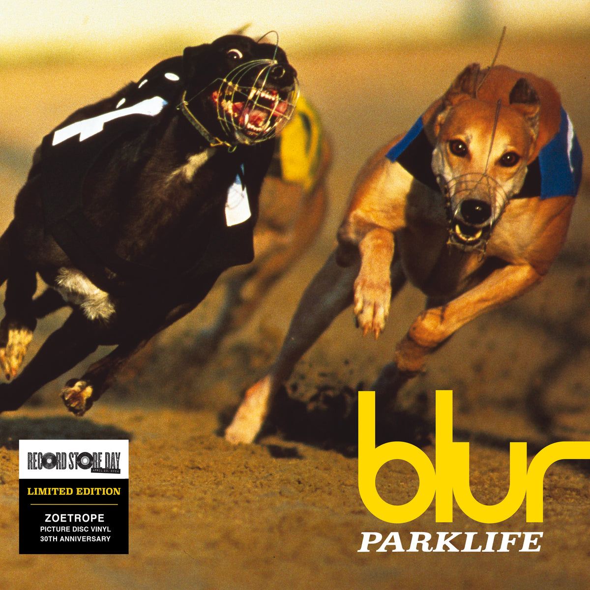 BLUR - PARK LIFE (30TH ANNIVERSARY EDITION) [VINYL] – Cool Discs Music