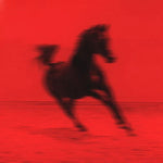 RED RUM CLUB - BUCK