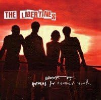 The Libertines - Anthems For Doomed Youth["7" VINYL BOX SET]