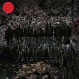 JOHNNY GREENWOOD AND THE RAJASTHAN EXPRESS - RANJHA