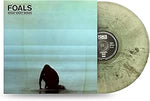 FOALS - WHAT WENT DOWN (10TH ANNIVERSARY EDITION) [VINYL]