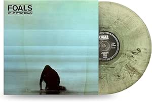 FOALS - WHAT WENT DOWN (10TH ANNIVERSARY EDITION) [VINYL]