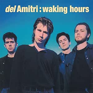 DEL AMITRI - WAKING HOURS[VINYL]