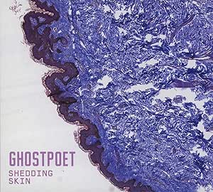 Ghostpoet - Shedding Skin