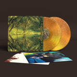 Band Of Horses -  Everything All The Time[VINYL]
