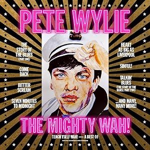 Pete Wylie & The Mighty WAH - Teach Yself WAH! - A Best of