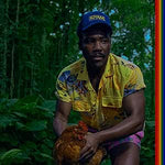 Childish Gambino - Bando Stone And The New World[VINYL]