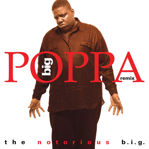 THE NOTORIOUS B.I.G - BIG POPPA (REMIX) [VINYL]