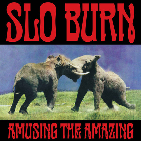 SLO BURN - AMUSING THE AMAZING [VINYL]