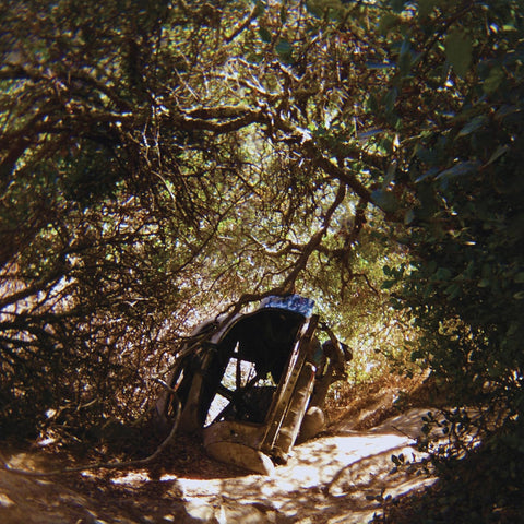 Ty Segall -  Possession
