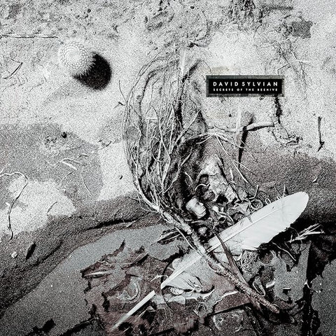 DAVID SYLVIAN - SECRETS OF THE BEEHIVE [VINYL]