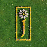 JAMES - NOTHING BUT LOVE