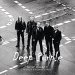 DEEP PURPLE - THE NOW WHAT? B SIDES AND BONUS SONGS [VINYL]