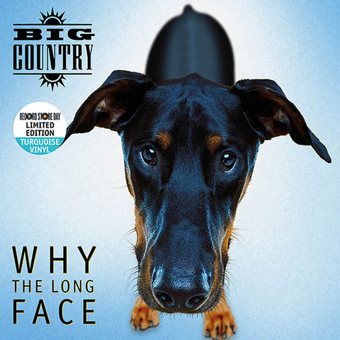 BIG COUNTRY - WHY THE LONG FACE? [VINYL]
