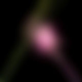 WICKED FOR GOOD OST [VINYL]