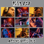 IGGY POP - ACOUSTICS KO [VINYL]