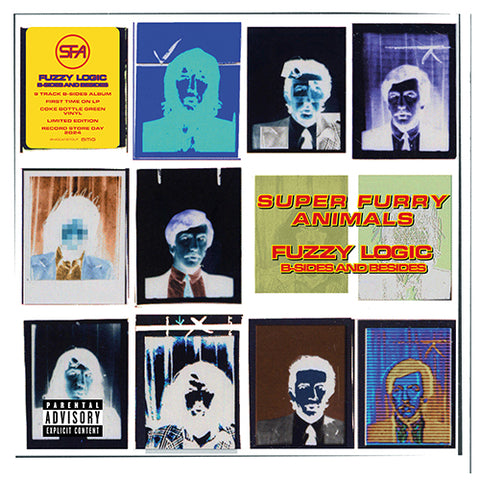 SUPER FURRY ANIMALS - FUZZY LOGIC (B-SIDES AND BESIDES) [VINYL]