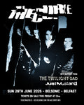 THE CURE COACH , SUNDAY 28 JUNE 26 , ORMEAU PARK , BELFAST