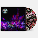 THE BLACK ANGELS - LEVITATION SESSIONS [VINYL]