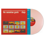 THE MOUNTAIN GOATS - DAYS