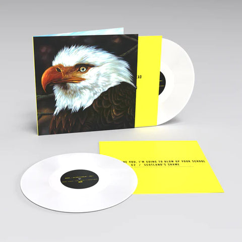 MOGWAI - THE HAWK IS HOWLING [VINYL]