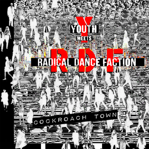 YOUTH MEETS RADICIAL DANCE FACTION - COCKROACH TOWN [12" VINYL]