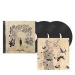 Sigur Ros - Takk ( 20th Anniversary )