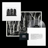 THESE NEW PURITANS - CROOKED WING