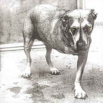 ALICE IN CHAINS - ALICE IN CHAINS [CD]