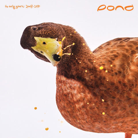 POND - THE EARLY YEARS (2008-2010) [VINYL]