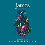 James ‎– Living In Extraordinary Times