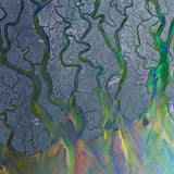 ALT J - AN AWESOME WAVE [VINYL]