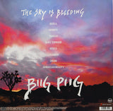 Biig Piig - The Sky Is Bleeding [VINYL]