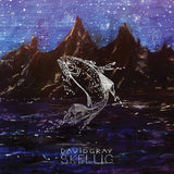 David Gray - Skellig