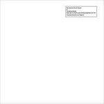 Throbbing Gristle ‎– The Second Annual Report [VINYL]