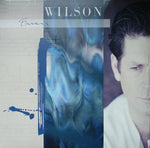 Brian Wilson ‎– Brian Wilson [VINYL]