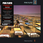 Pink Floyd ‎– A Momentary Lapse Of Reason