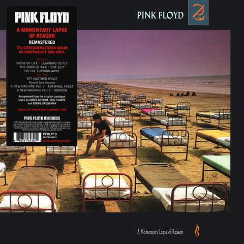 Pink Floyd ‎– A Momentary Lapse Of Reason