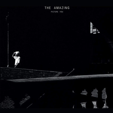 The Amazing - Picture You [VINYL]