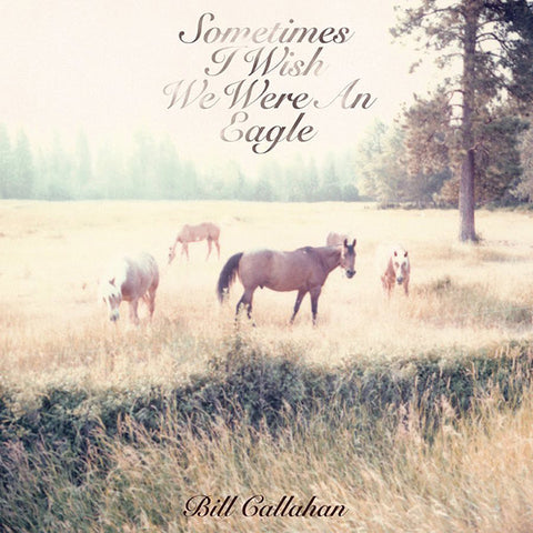 Bill Callahan ‎– Sometimes I Wish We Were An Eagle