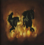 The Besnard Lakes ‎– The Besnard Lakes Are The Dark Horse [CD]