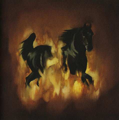 The Besnard Lakes ‎– The Besnard Lakes Are The Dark Horse [CD]