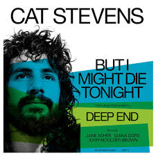 Cat Stevens - But I Might Die Tonight [7"VINYL]