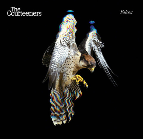 The Courteeners ‎– Falcon [CD]