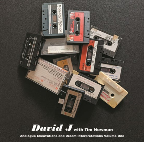 DAVID J WITH TIM NEWMAN - ANALOGUE EXCAVATIONS & DREAM INTERPRETATIONS VOLUME 1 [VINYL]