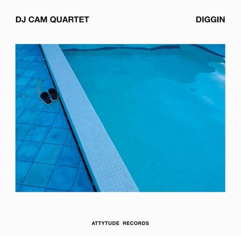 DJ CAM - DIGGIN [VINYL]