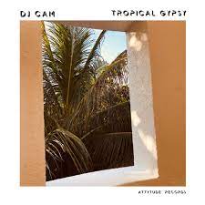 DJ Cam - Tropical Gypsy [VINYL]