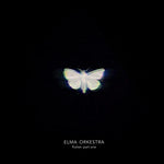 Elma Orkestra - Flutter : part one
