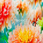 Global Underground: Select #5 [CD]