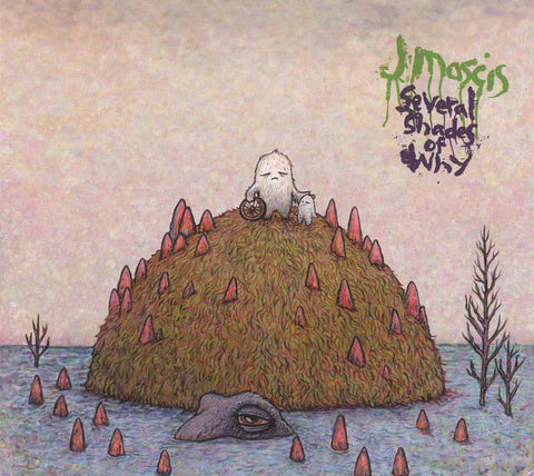 J Mascis ‎– Several Shades Of Why [CD]